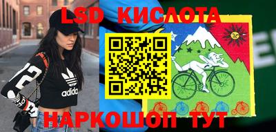 крисы Кандалакша