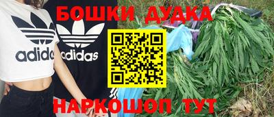 СК Канаш