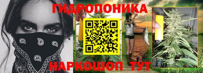 крисы Кандалакша