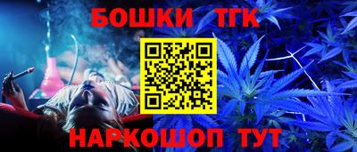СК Канаш