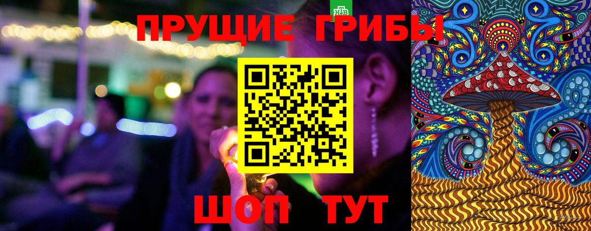 Псилоцибиновые грибы мицелий  Вход с VPN  Псилоцибиновые грибы Cubensis  Салехард 